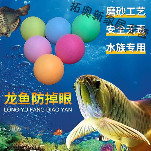 紅龍魚掉眼要怎么預防呢圖片