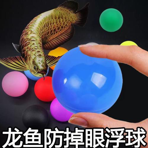 紅龍魚掉眼要怎么預防呢圖片