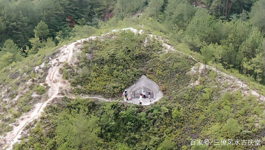 能否提供更多關于“百子地”的信息？ 能否提供更多關于“百子地”的信息？ 龍魚百科 第1張