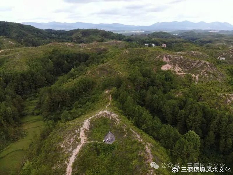 能否提供更多關于“百子地”的信息？ 能否提供更多關于“百子地”的信息？ 龍魚百科 第2張