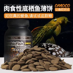 紅尾金龍魚吃什么飼料好（紅尾金龍魚吃什么飼料最好紅尾金龍魚吃什么飼料最好） 紅尾金龍魚吃什么飼料好（紅尾金龍魚吃什么飼料最好紅尾金龍魚吃什么飼料最好） 龍魚百科 第1張