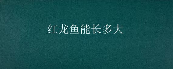 20厘米紅龍魚(yú)一年能長(zhǎng)多大？（20公分的龍魚(yú)一年能長(zhǎng)多大？） 20厘米紅龍魚(yú)一年能長(zhǎng)多大？（20公分的龍魚(yú)一年能長(zhǎng)多大？） 龍魚(yú)百科 第2張