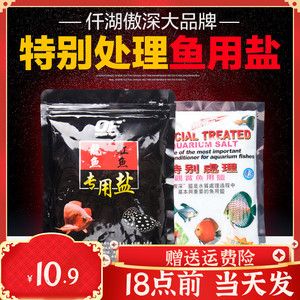 龍魚爛鰭爛尾用什么藥治：如何判斷龍魚爛鰭爛尾的程度