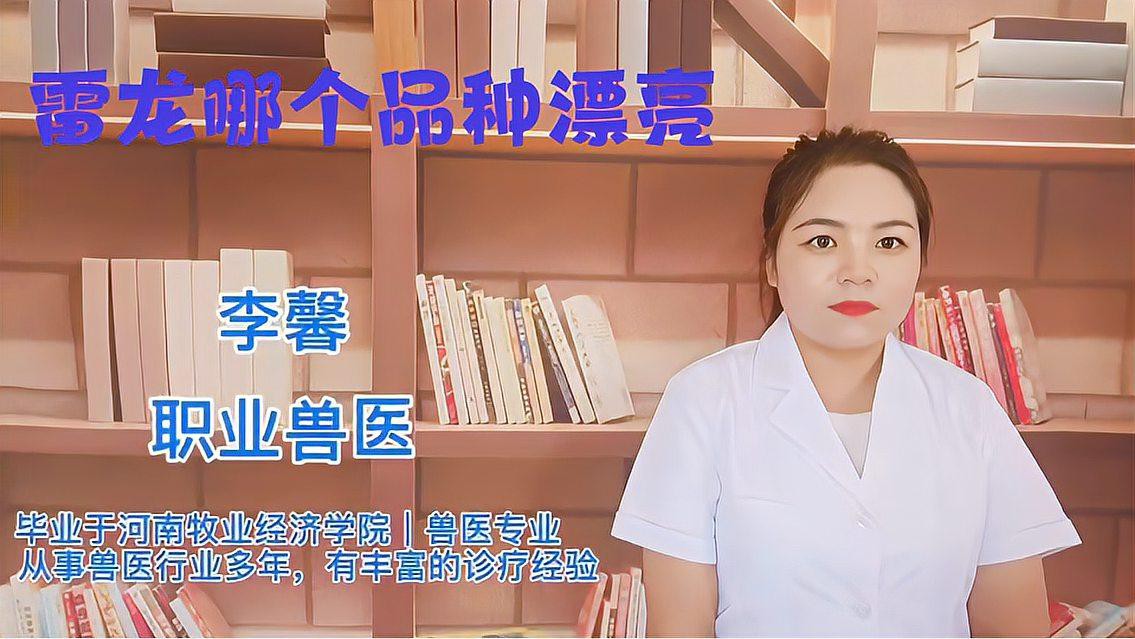 像龍魚的小型觀賞魚有哪些種類