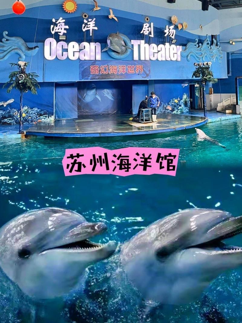 蘇州龍魚水族館在哪里 蘇州龍魚水族館在哪里 龍魚百科 第3張