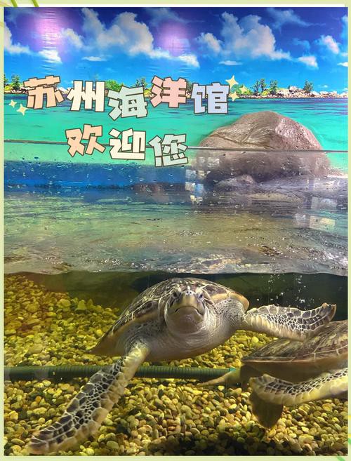 蘇州龍魚水族館在哪里 蘇州龍魚水族館在哪里 龍魚百科 第2張