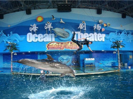 蘇州龍魚水族館在哪里 蘇州龍魚水族館在哪里 龍魚百科 第9張
