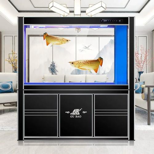 如何挑選適合金龍魚的魚缸？