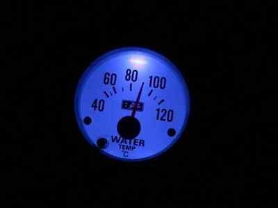 龍魚31度水溫（31度水溫下龍魚的養殖環境、飼料選擇、日常管理等要點） 龍魚31度水溫（31度水溫下龍魚的養殖環境、飼料選擇、日常管理等要點） 龍魚百科 第1張