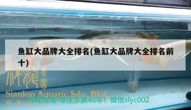 金龍魚混養視頻大全集最新版下載：金龍魚混養視頻大全集最新版下載免費 金龍魚混養視頻大全集最新版下載：金龍魚混養視頻大全集最新版下載免費 龍魚百科 第2張