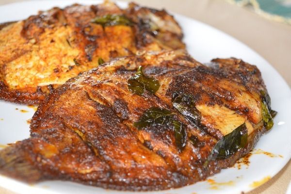 品相好的金龍魚品種有哪些（金龍魚養(yǎng)殖環(huán)境的最佳配置如何鑒別金龍魚的健康狀態(tài)）