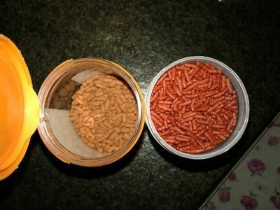 龍魚飼料魚是什么魚做的呢視頻：龍魚飼料魚是什么魚做的