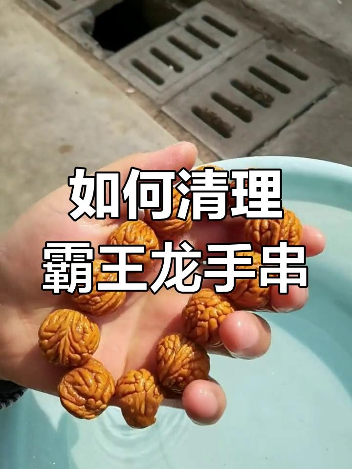 龍擺件多久清洗一次合適？ 龍擺件多久清洗一次合適？ 龍魚百科 第2張