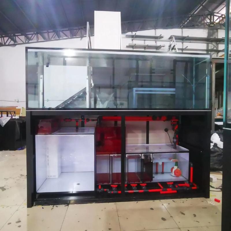 龍魚黑缸是什么缸圖片大全