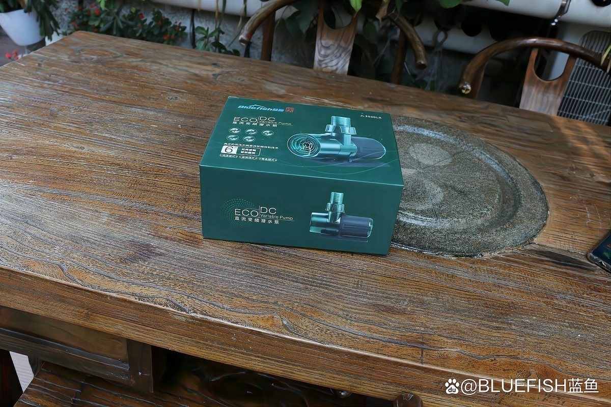 龍魚黑缸是什么缸圖片大全