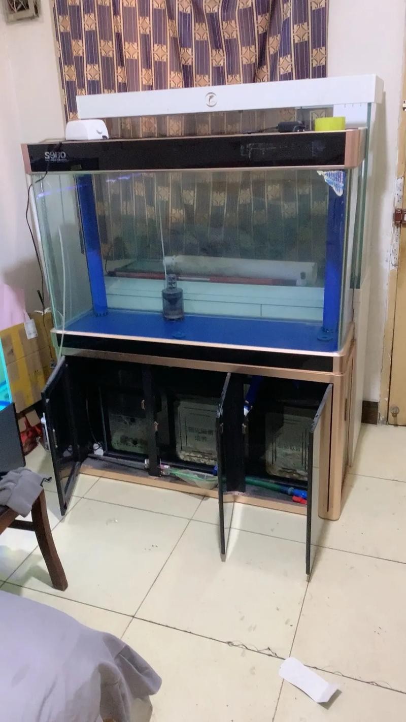 龍魚黑缸是什么缸圖片大全