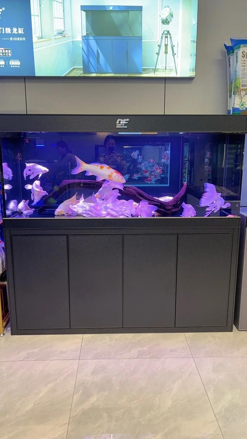 龍魚黑缸是什么缸圖片大全