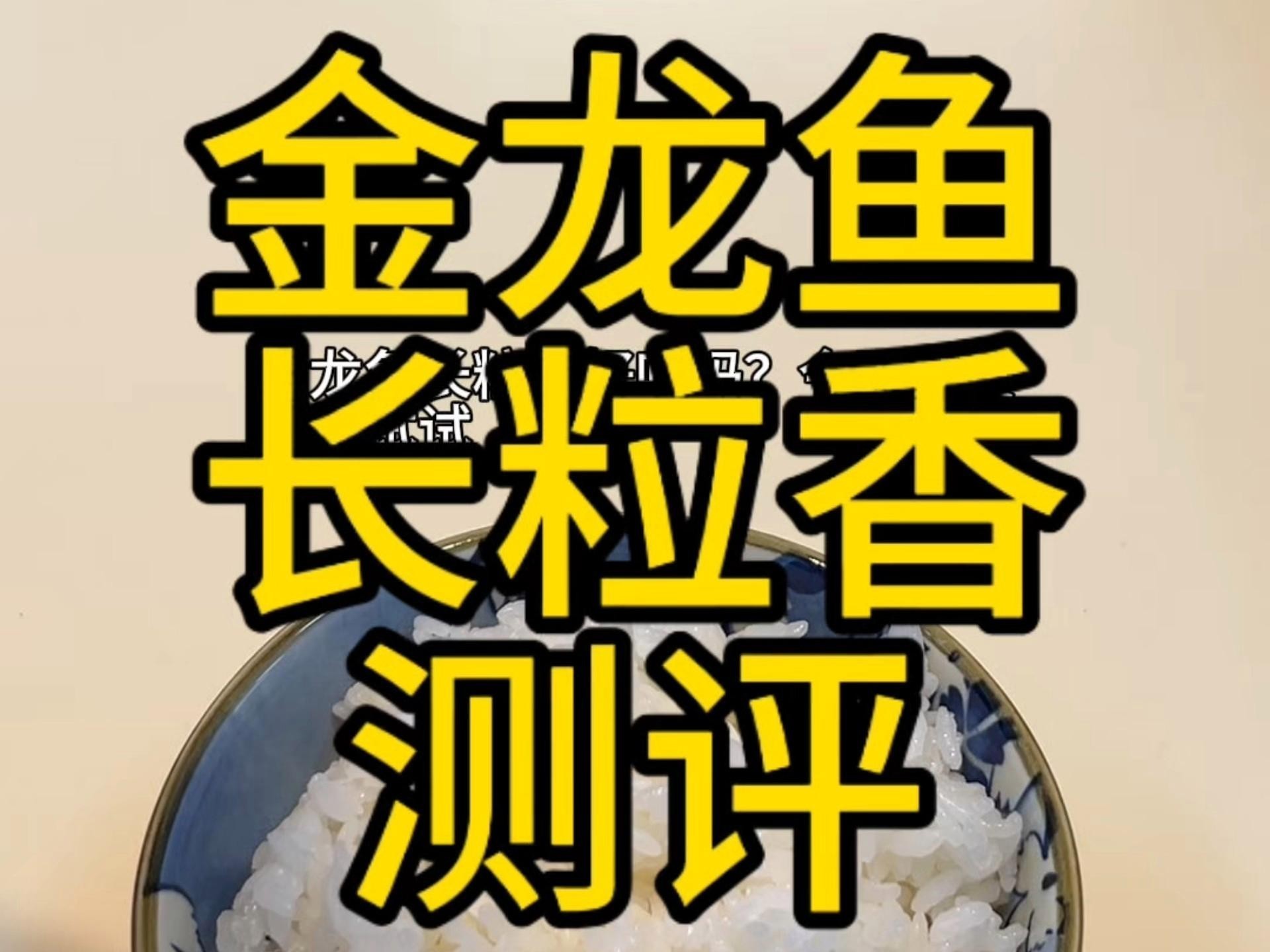 金龍魚還有哪些其他系列？