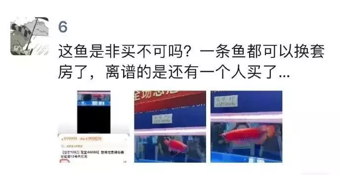 一條魚能抵一套房？驚到了梁山雖有108將，絕世高手卻只有1位，一流高手7位，別的都不入流
