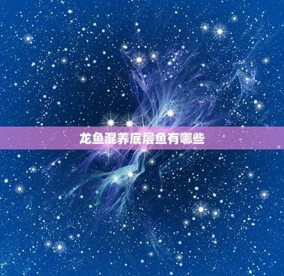 龍魚和啥魚混養(yǎng)：龍魚與其他魚類混養(yǎng)的優(yōu)勢