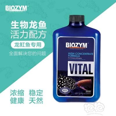 龍魚專用硝化細菌：龍魚專用硝化細菌的選擇、使用方法以及使用方法