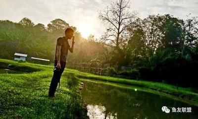 龍魚病了沉到水底了會死嗎為什么：龍魚沉底一定會導致死亡嗎 龍魚病了沉到水底了會死嗎為什么：龍魚沉底一定會導致死亡嗎 龍魚百科 第1張