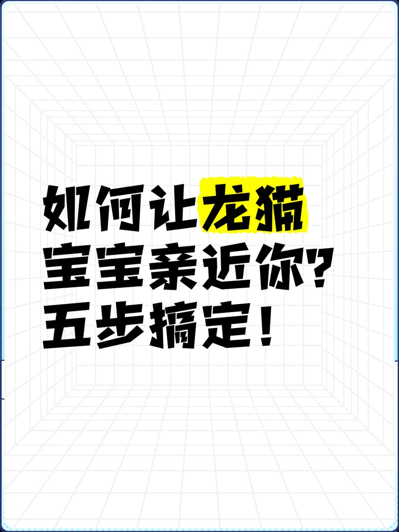 如何增加与龙猫的互动时间？