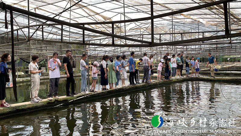 漳州龍魚繁殖基地在哪兒