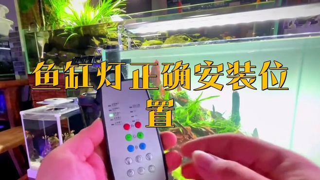 過背金龍魚燈的安裝難度大嗎？