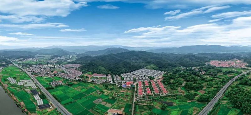 鳳凰村有哪些特色？