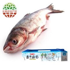 長春龍魚價格查詢網站大全 長春龍魚價格查詢網站大全 龍魚百科 第6張