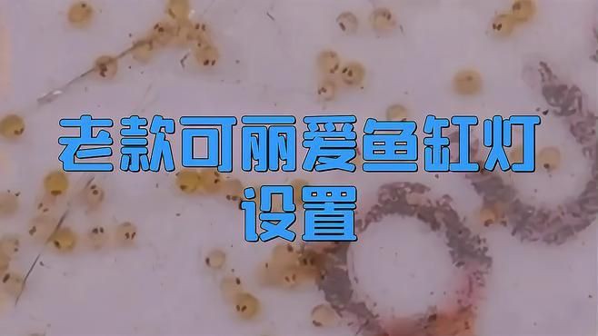 老款可麗愛(ài)魚(yú)缸燈設(shè)置