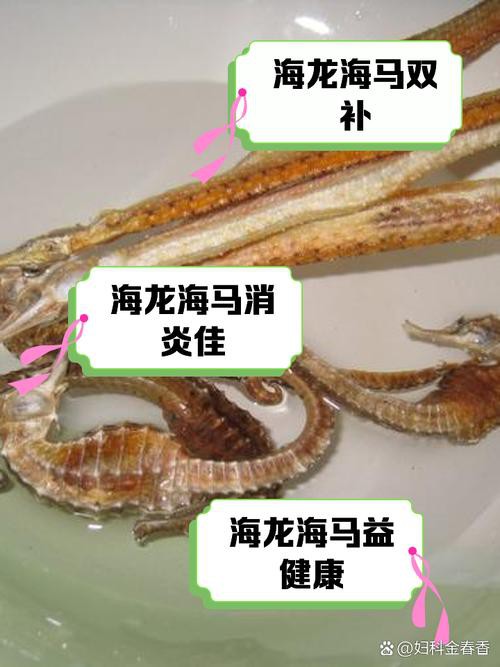 給我一張海龍和海馬的區別圖片 給我一張海龍和海馬的區別圖片 龍魚百科 第3張