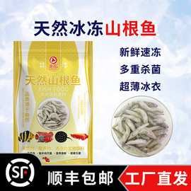 長春龍魚價格行情最新消息