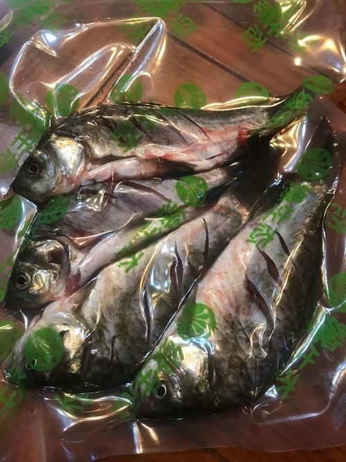 蘆花鯽魚圖片 龍魚百科 第15張 蘆花鯽魚圖片 蘆花鯽魚圖片 龍魚百科 第15張