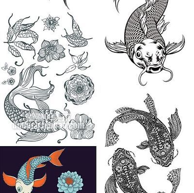 龍魚圖片大全大圖：龍魚養殖技巧入門，風水學中的龍魚擺放，過背金龍飼養要點