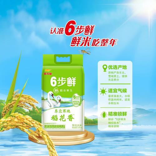 金龍魚稻谷