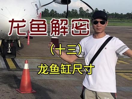 龍魚(yú)什么缸養(yǎng)最合適的