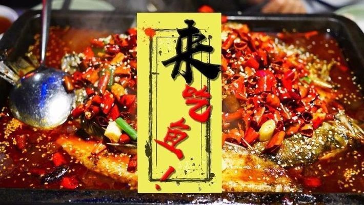 哈爾濱其他配魚，哈爾濱特色魚食做法哈爾濱觀賞魚市場(chǎng)價(jià)格實(shí)惠