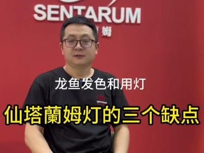 龍魚發色燈什么牌子好用又實惠（龍魚發色燈哪個牌子好）