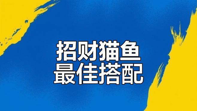 招財貓魚和龍魚的最佳混養(yǎng)比例是多少？