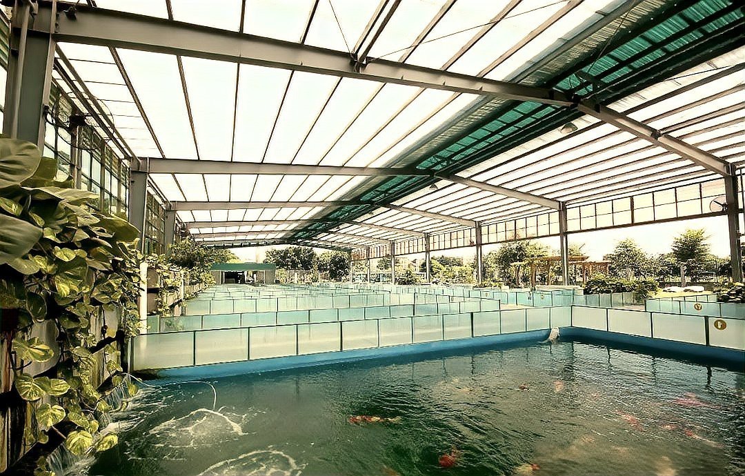 東莞龍魚養殖基地在哪里啊