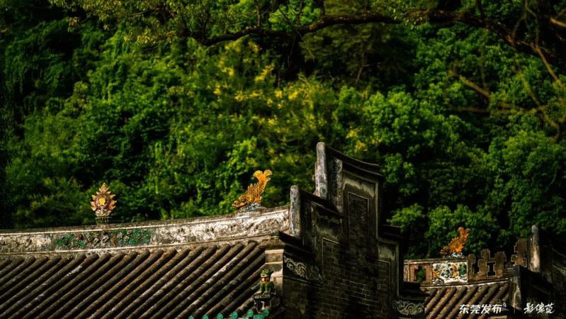 東莞龍魚養殖基地在哪里啊
