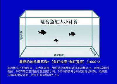 伊巴卡魚交易平臺推薦：伊巴卡魚養(yǎng)殖技術(shù)分享