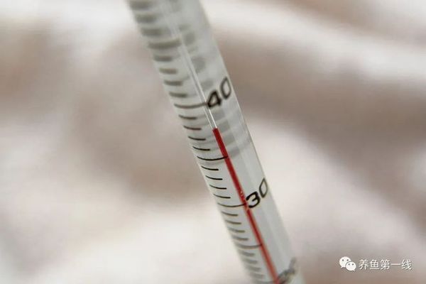 魚苗生長階段水溫管理方法：魚類苗種生長階段的水溫管理方法分析魚苗對水溫的適應性和要求