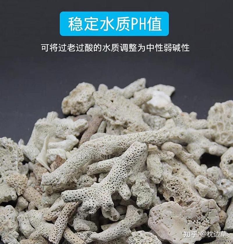 龍魚趴缸期間如何保持水質穩(wěn)定？