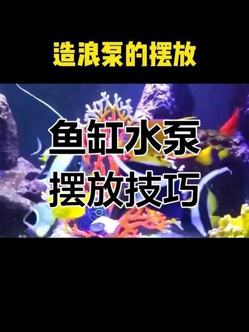 龍魚趴缸期間如何保持水質穩(wěn)定？