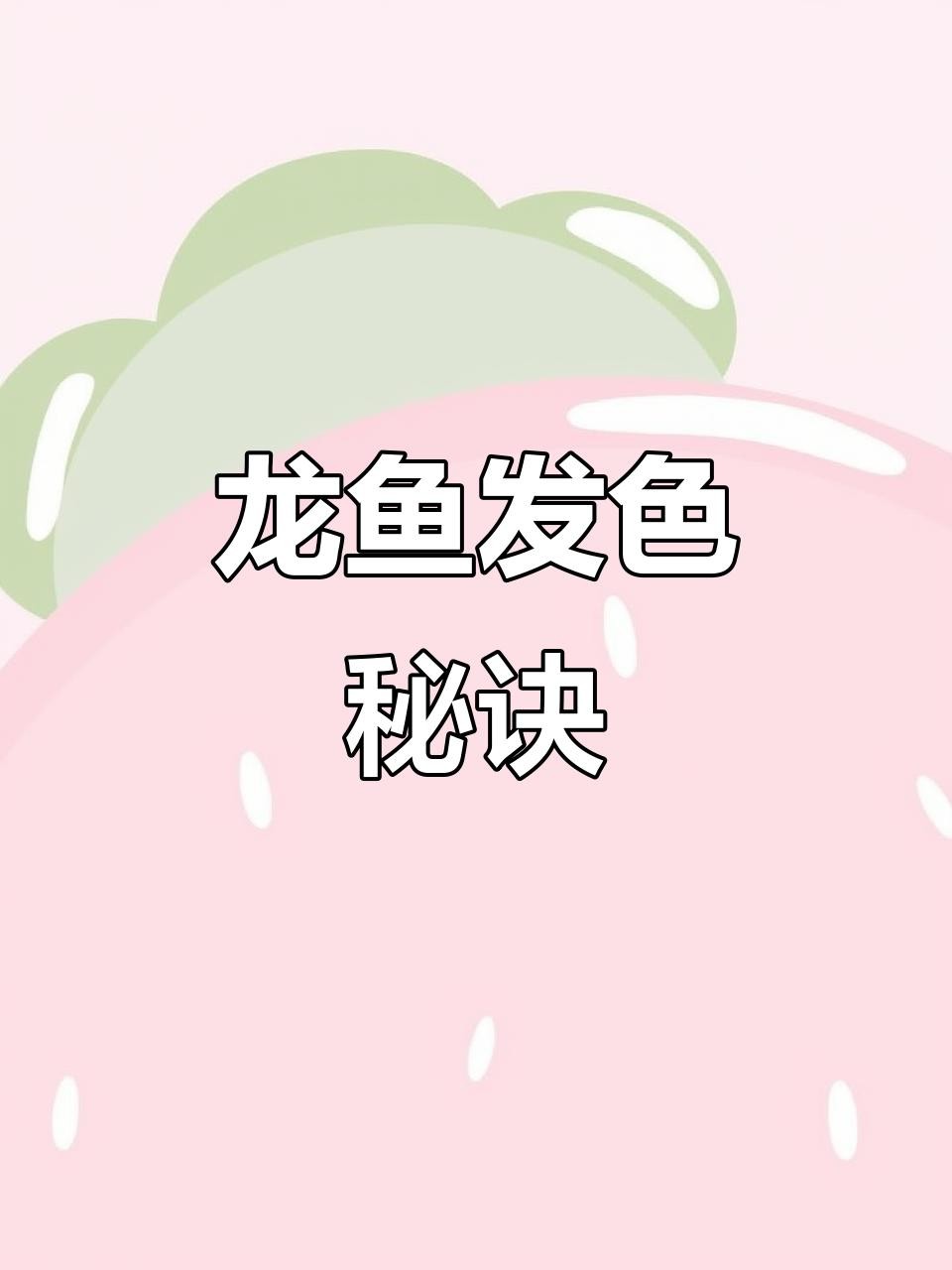 高背金龍魚發色后如何維護？