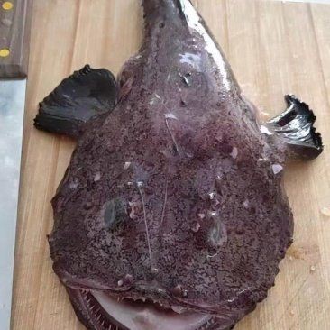 魔鬼魚值錢嗎