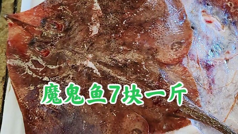 魔鬼魚值錢嗎